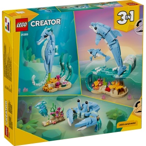 Animale marine: Delfini superbi - Img 3