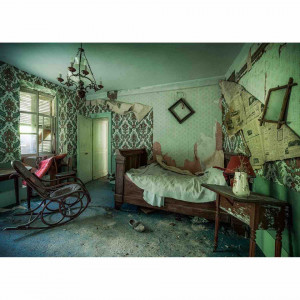 Puzzle Camera Parasita, 1000 Piese - Img 2