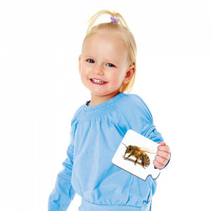 Puzzle Potriveste Primele Cuvinte - Eng - Img 2