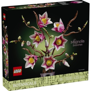 Ramuri de magnolie - Img 2
