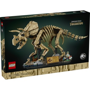 Fosile de dinozaur: Triceratops - Img 2