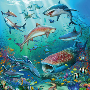 Puzzle Lumea Subacvatica, 3X49 Piese - Img 3