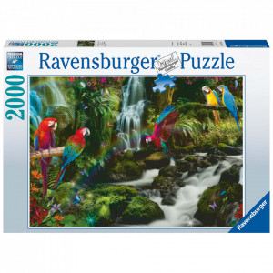 Puzzle Papagali In Jungla, 2000 Piese - Img 2