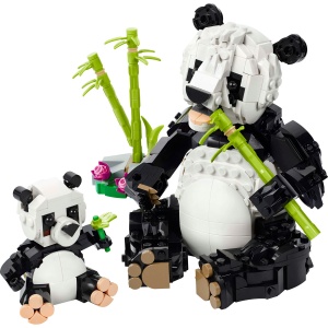 Animale salbatice: Familia de ursi panda - Img 4