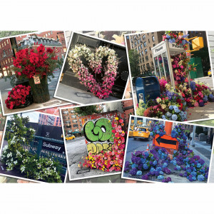 Puzzle Flori In New York, 1000 Piese - Img 2