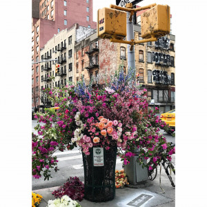 Puzzle Flori In New York, 300 Piese - Img 2
