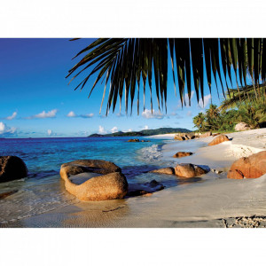 Puzzle Palmier La Plaja, 1000 Piese