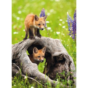 Ravensburger - Puzzle pui de vulpe 300 piese - Img 2