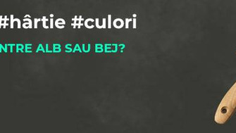 Alegerea Culorii Hârtiei din Blocul de Desen: Cum Să Alegi între Alb și Bej?