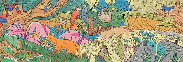 animale de colorat