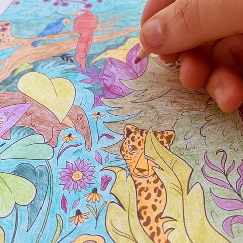 planse de colorat cu animale