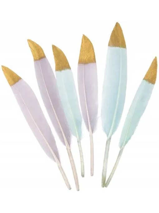 Set 6 pene decorative cepi-117 Dp Craft