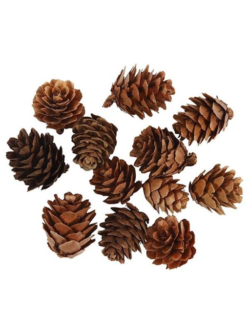 Set 12 Mini-Conuri de Brad Nature Look 20-30 mm Creativ Company 50250