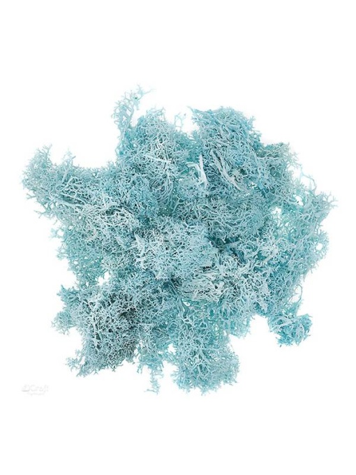 Muschi colorat 30g Dp Craft