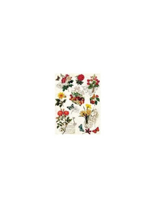 Hartie de orez Cadence A4 041