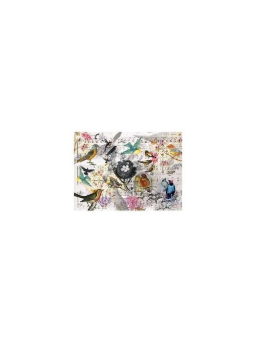 Hartie de orez Cadence A4 136