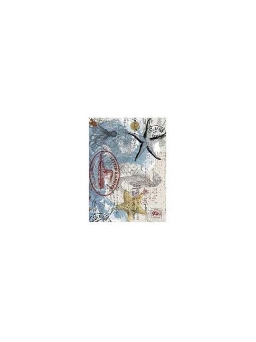 Hartie de orez Cadence A4 141