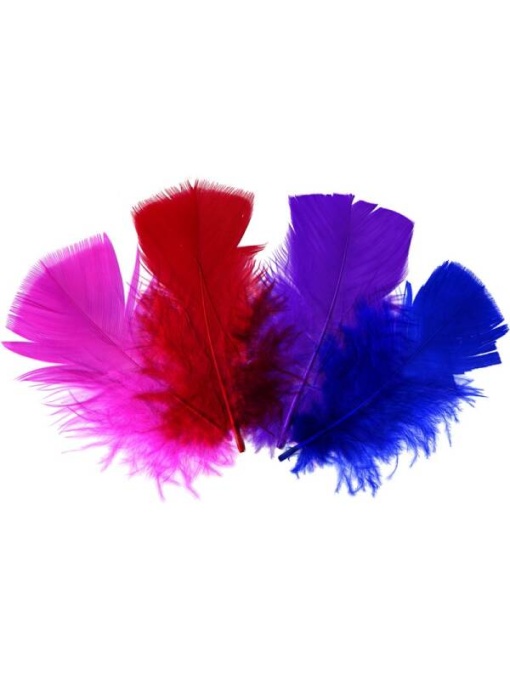 Set 20 pene colorate curcan 10/12cm Meyco 24036