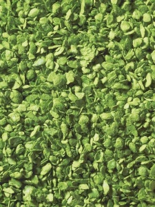 Frunze pentru diorame light green 50g 7142 Noch