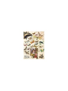 Hartie de orez Cadence A4 083