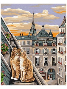 Kit pictura pe numere Cat Tenderness in Paris 52168