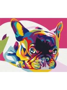 Kit pictura pe numere Rainbow french bulldog Profiart BS5379