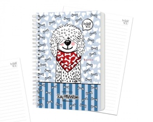 Notebook Bandit Be Inspired Drasca A5  A6, 80 file, 80g