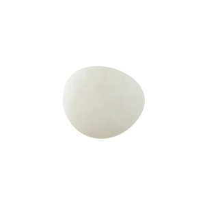 Set 6x62g Plastilina Softy Fluo Avenue Mandarine SO0870006K03C