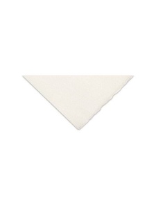 Hartie pentru uleiuri 300g/mp CP 56x76cm Arches