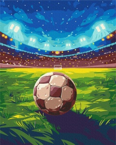 Kit pictura pe numere Soccer Match 54112