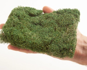 Material pentru diorame 40g bushes medium green 7310 Noch