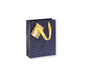 Punga Cadou 17x6x22cm Noapte Albastra Premium Clairefontaine 212896C