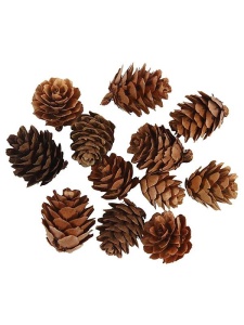 Set 12 Mini-Conuri de Brad Nature Look 20-30 mm Creativ Company 50250