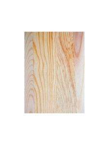 Spray Montana Tech Primer Universal