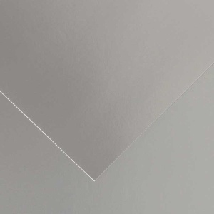 Hartie Canson Iris Vivaldi Gold & Silver 50x65 cm 280g/mp