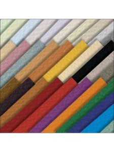 Hartie Canson Mi-Teintes A4