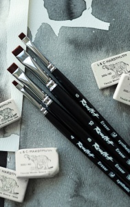Pensule Roubloff Editia Eraser