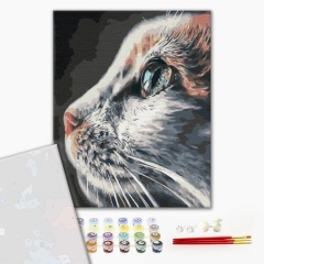 Set pictura pe numere, Cat Profile, BS51792