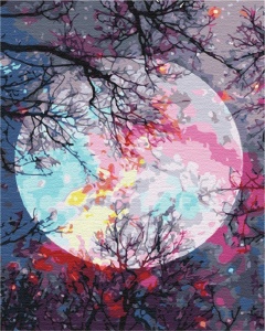 Set Pictura pe Numere Privind spre Luna BS51423