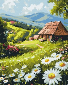 Set Pictura pe Numere Rasfat in Mediul Rural BS54381