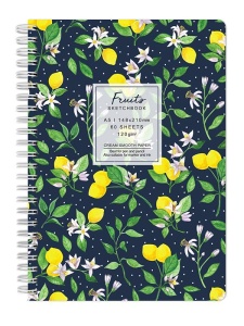 Sketchbook fruits 120g 60 file lemons Drasca
