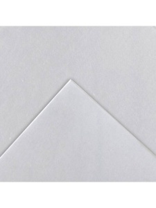 Bloc caligrafie Canson Lettering Marker