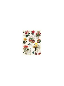 Hartie de orez Cadence A4 041