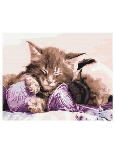 Kit pictura pe numere Grandmother's Pets 31170
