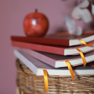Notebook Hartie Liniata A5 80 file 90g Ivory Rhodia 1174