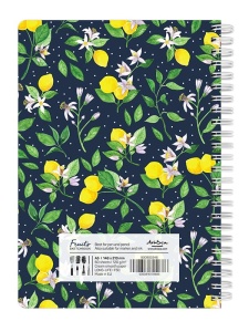 Sketchbook fruits 120g 60 file lemons Drasca