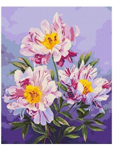 Kit pictura pe numere Kingdom of Peonies 53920