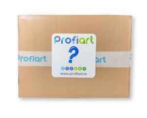 Mystery Box pentru copii-L