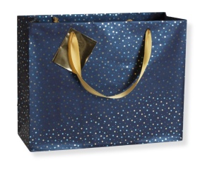 Punga de Cadou 32x13x24,5 Model Noapte Albastra Premium Clairefontaine 212897C