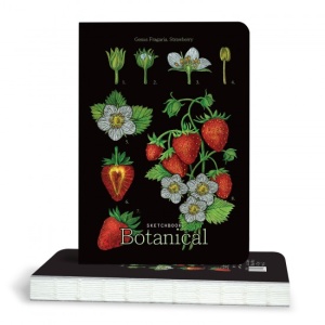 Sketchbook Botanical 100g 80 file 14,5x21cm Strawberry 900900285 Drasca
